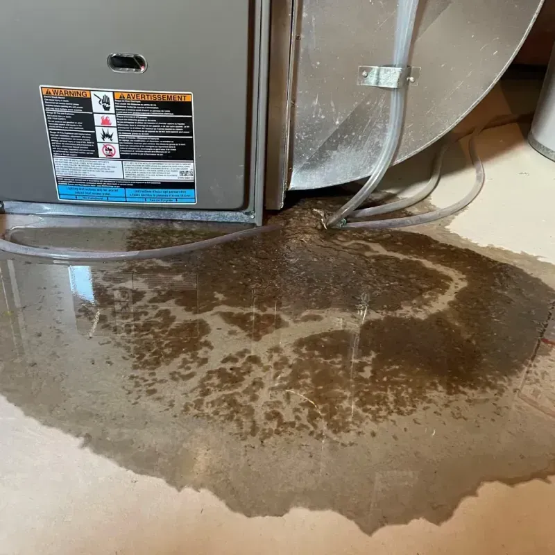 Appliance Leak Cleanup in San Juan County, UT